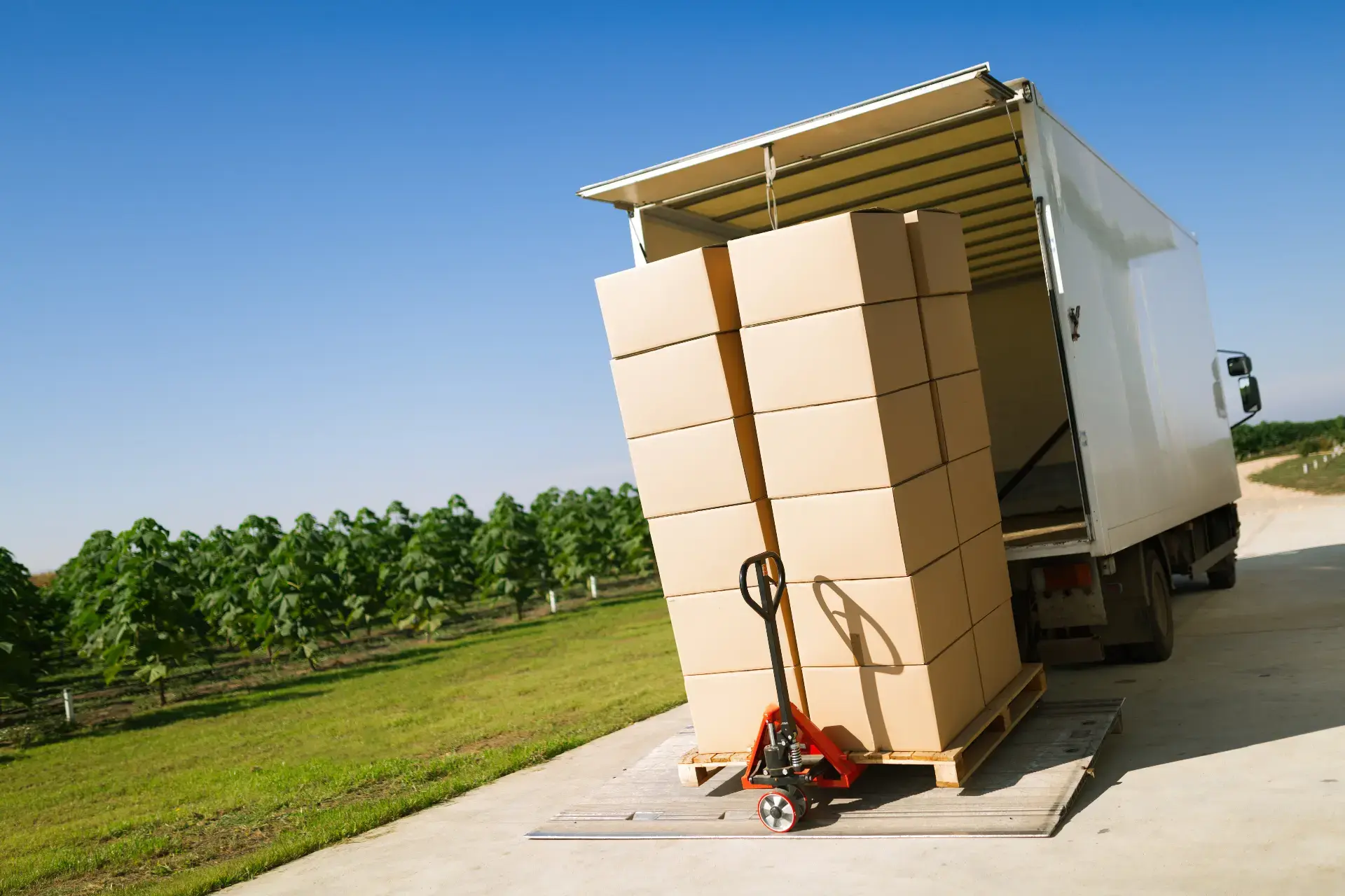 Moving Services in Wayne, NJ