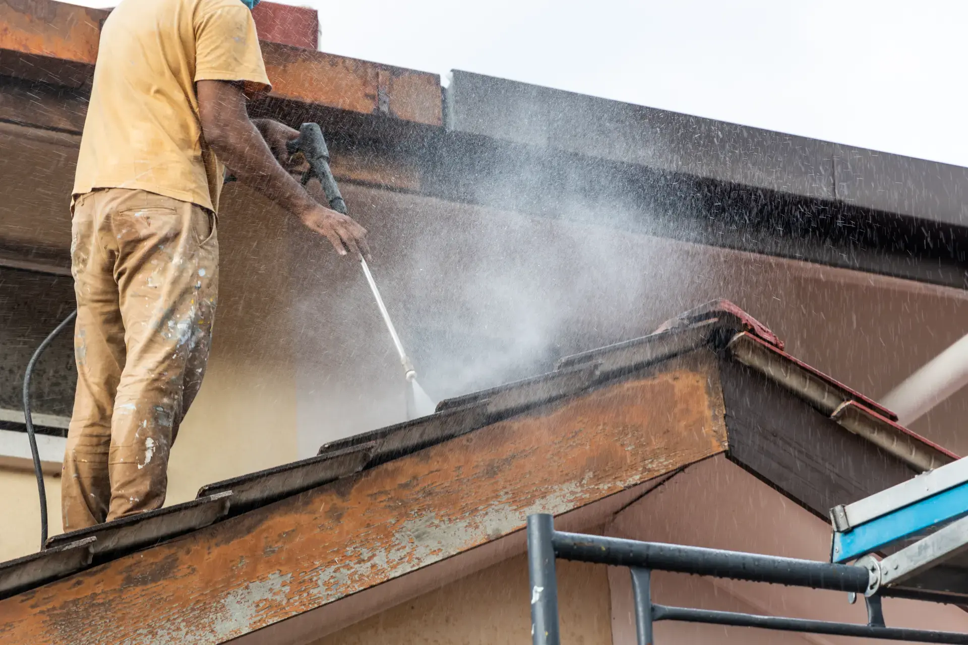 Roof Cleaning in Wayne, NJ